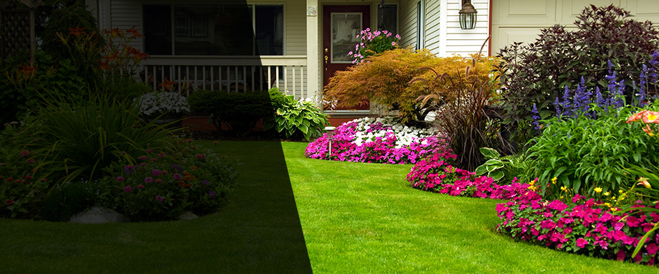 Davidsonville Landscapers