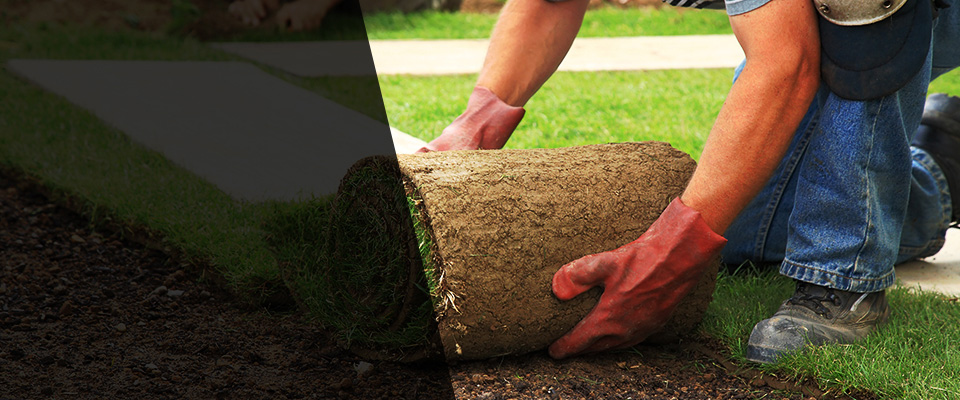 Davidsonville Landscapers